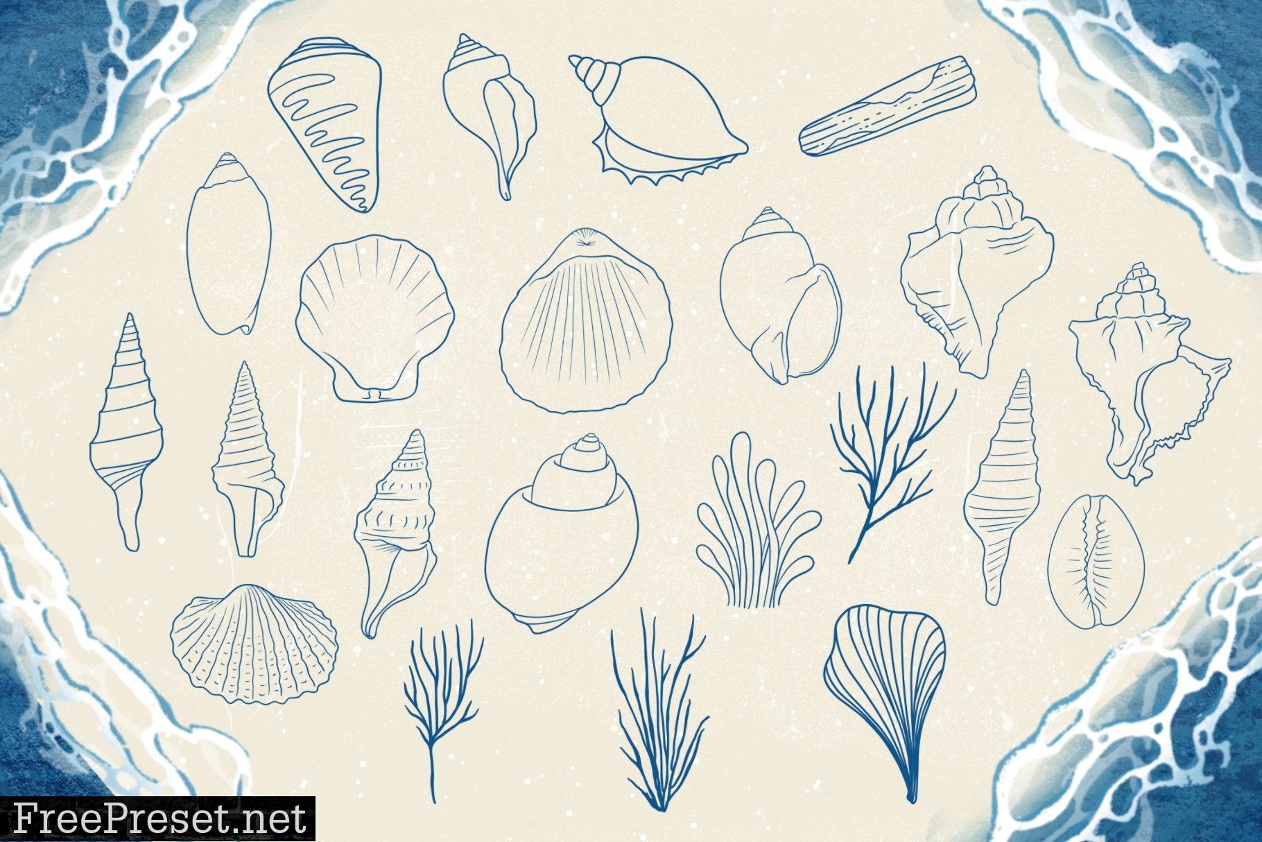 Seashells + Driftwood Procreate Set 6462824