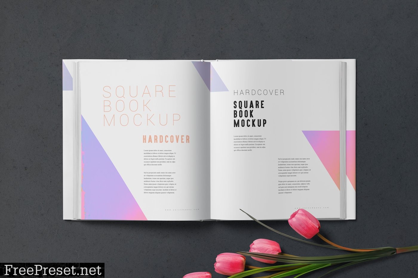 Square Book with Dust Cover Mockups 7265295