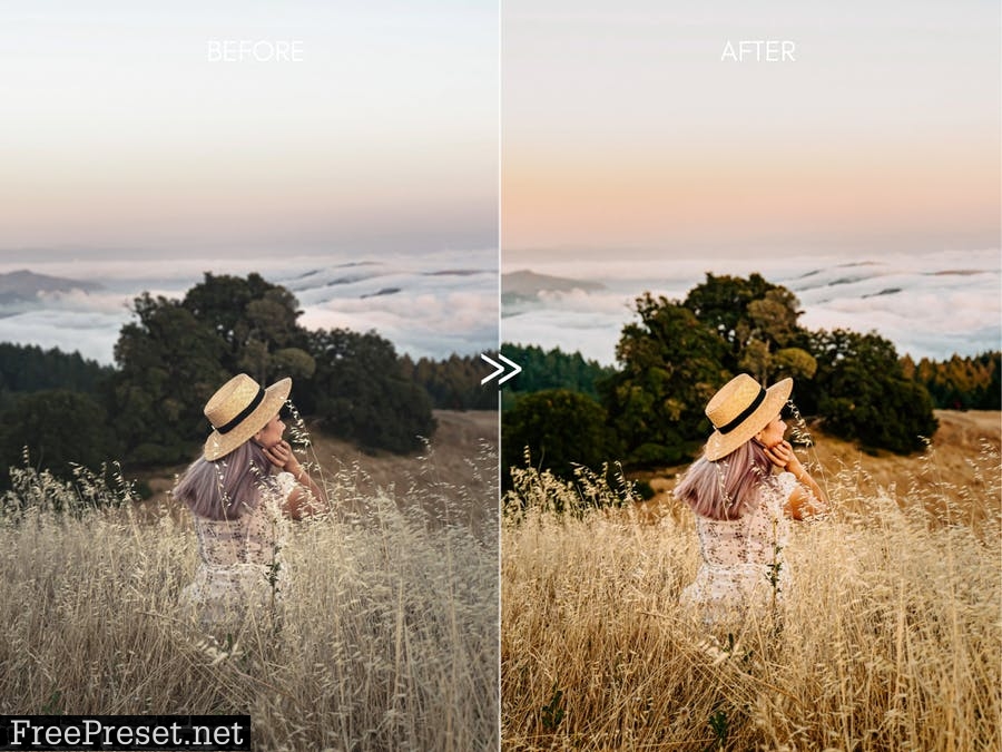 Sunny GOLDEN GLOW Outdoor Lightroom Presets DBU3D8V