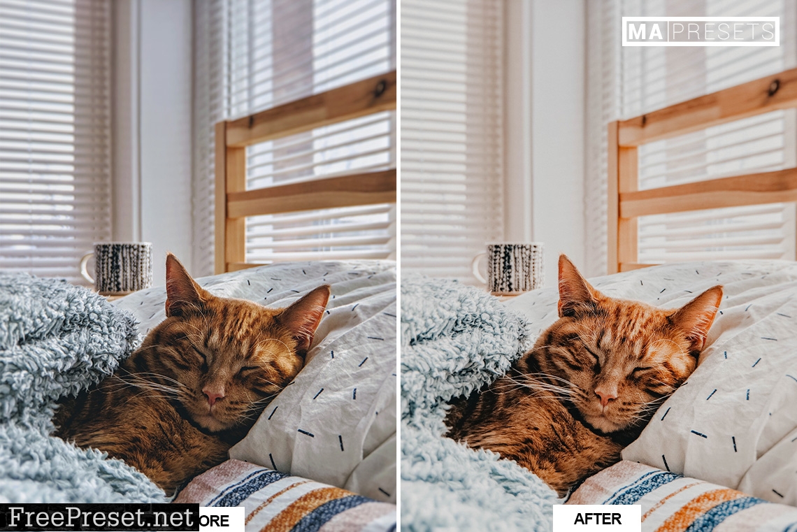 10 CAT – Mobile & Desktop Lightroom Presets