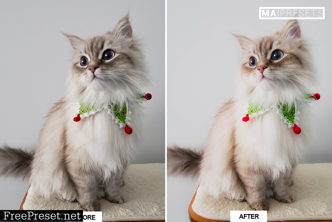 10 CAT – Mobile & Desktop Lightroom Presets