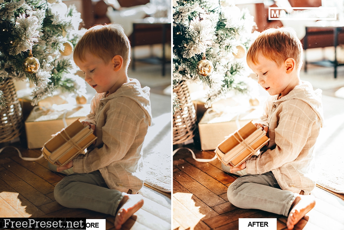 10 CHRISTMAS – Mobile & Desktop Lightroom Presets