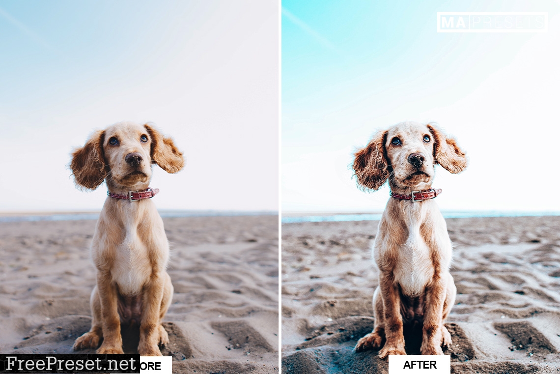 10 DOG – Mobile & Desktop Lightroom Presets