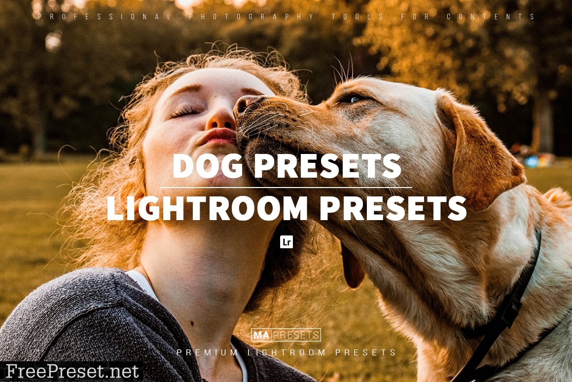 10 DOG – Mobile & Desktop Lightroom Presets