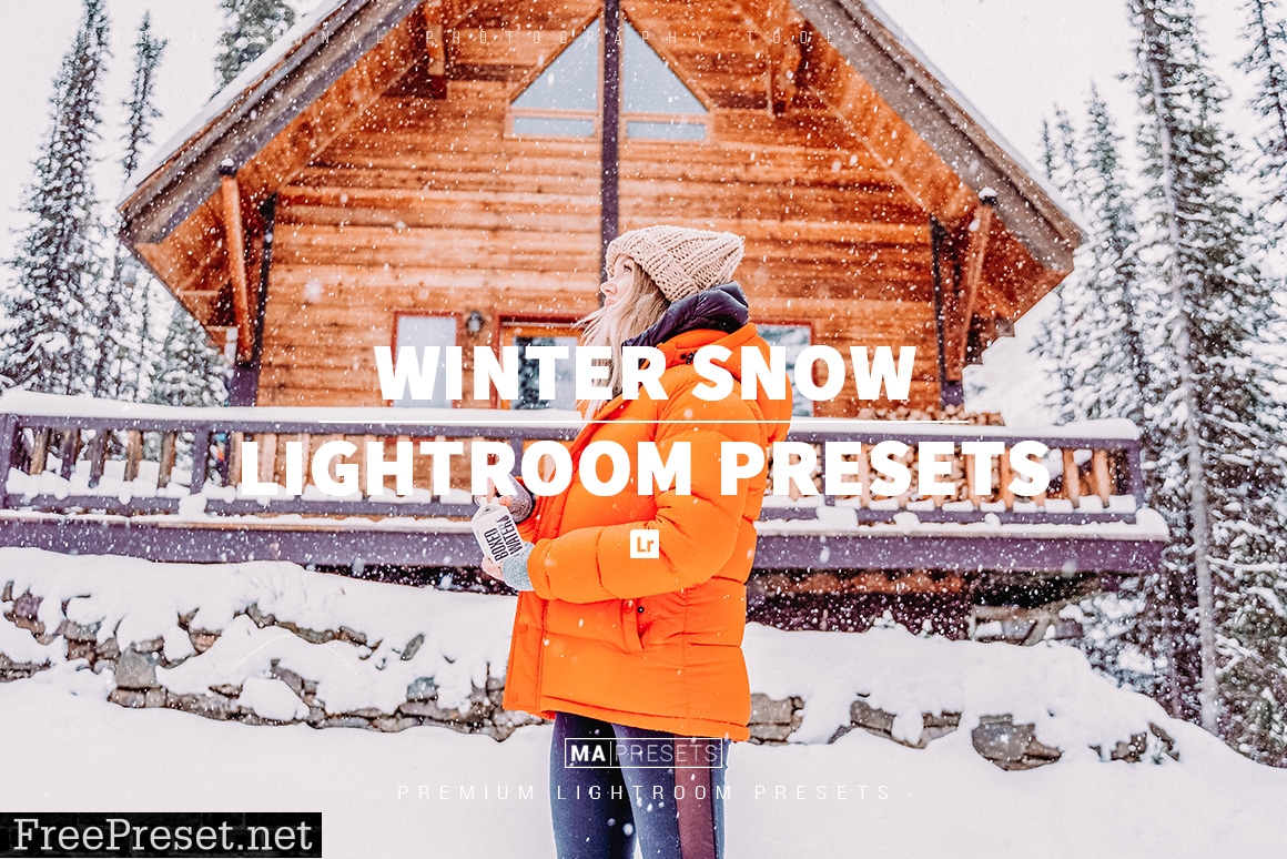 10 WINTER SNOW Lightroom Presets
