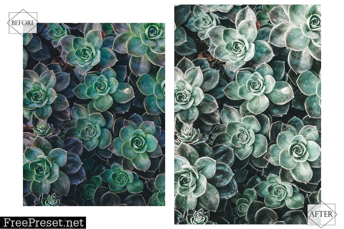 12 Lovely Mint Photoshop Actions, Spring ACR Preset