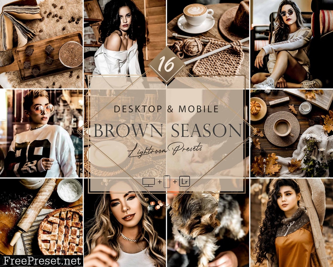 16 Brown Season Lightroom Presets, Moody Preset, Fall Desktop LR Filter, DNG Portrait Lifestyle