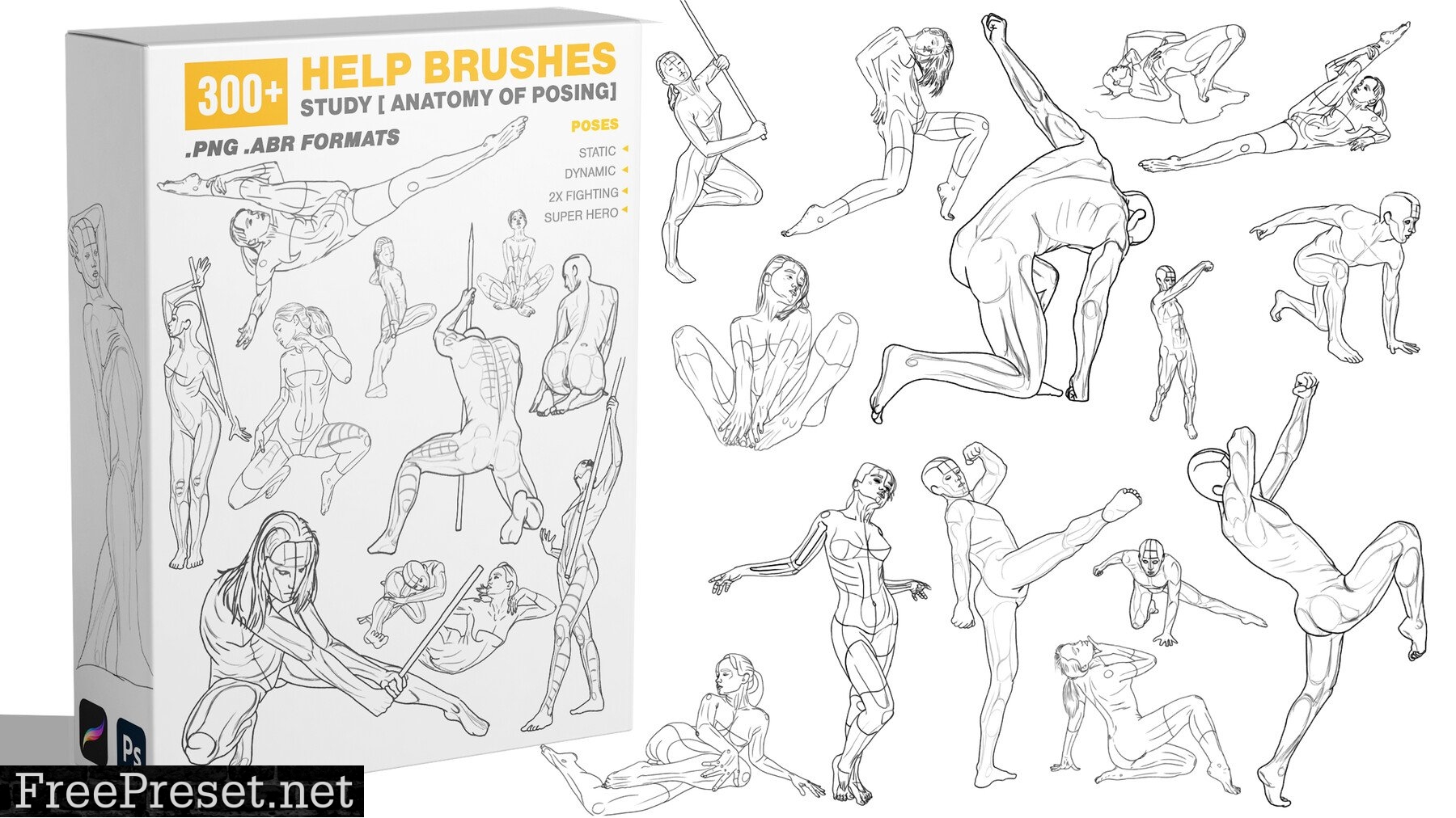 300 Help Brushes Vol.2 Study [ Anatomy of Posing]