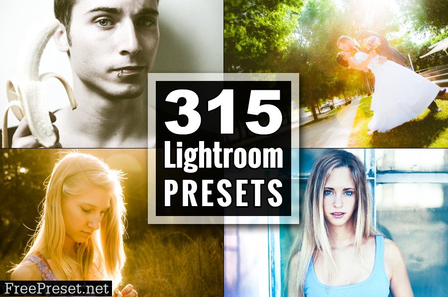 315 Best Lightroom Presets Plugins