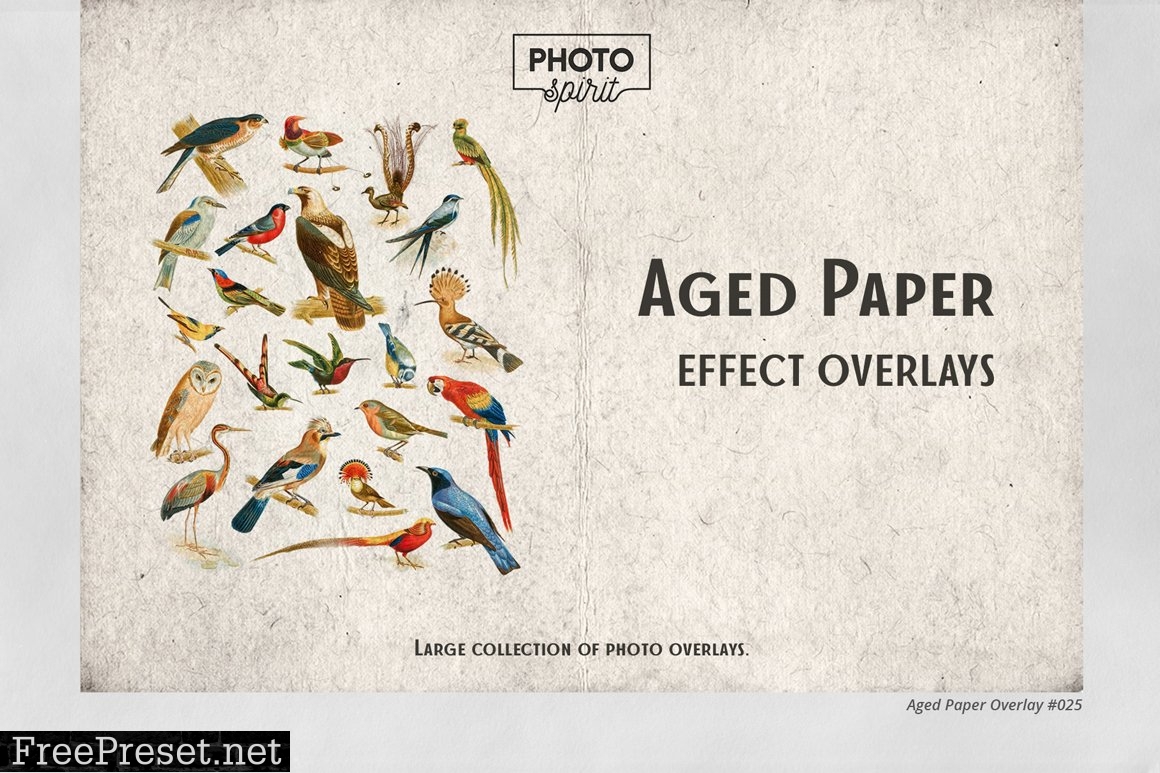 Aged Paper Effect Overlays 6916248