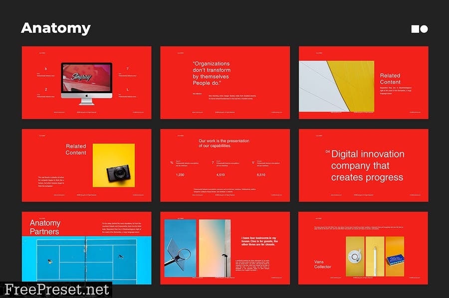 Anatomy - Presentation Templates 3NUXHQW