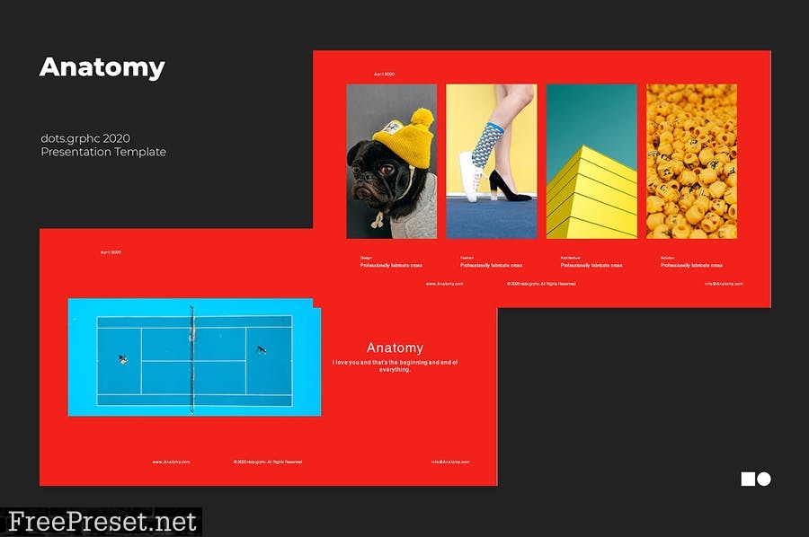 Anatomy - Presentation Templates 3NUXHQW