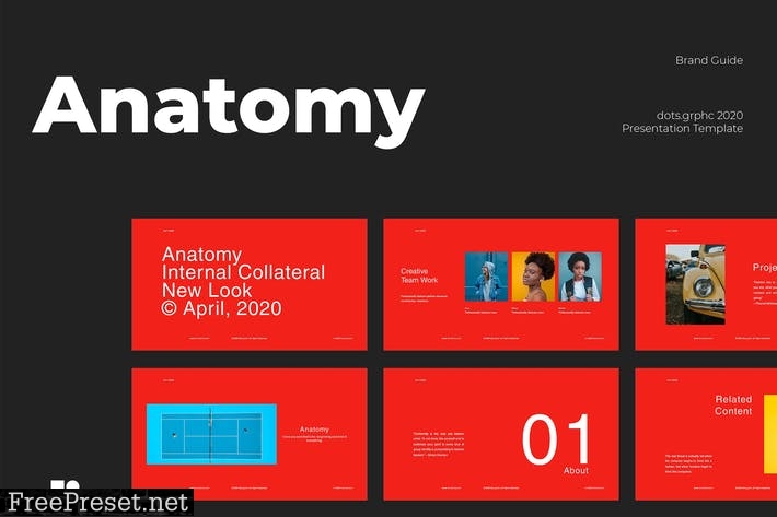 Anatomy - Presentation Templates 3NUXHQW