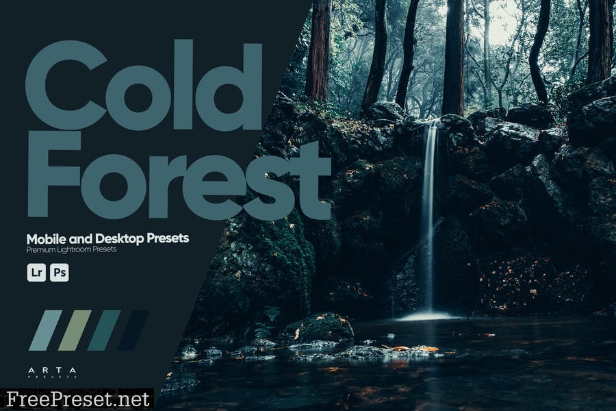 ARTA - Cold Forest Presets for Lightroom