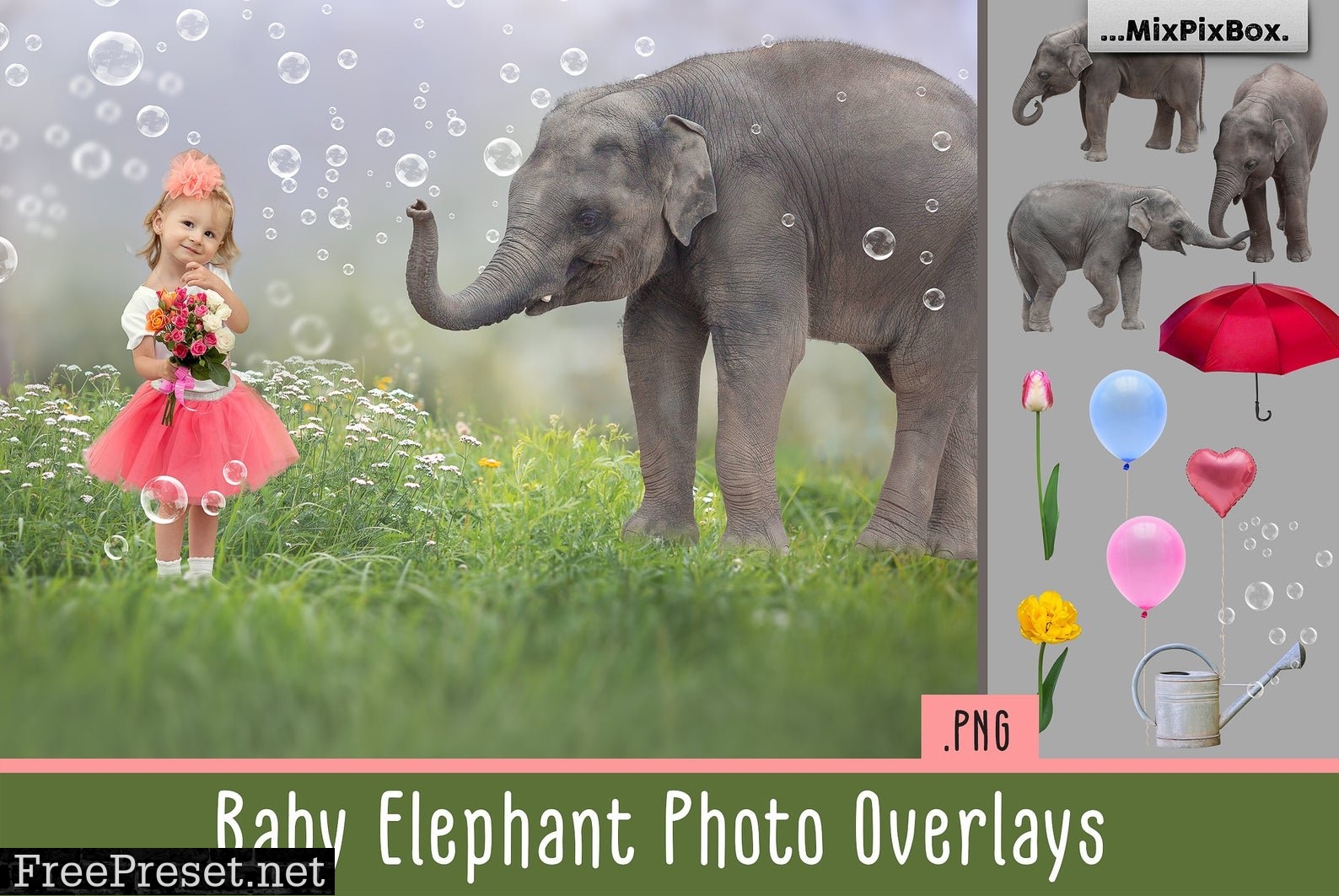 Baby Elephant Photo Overlays 5069631