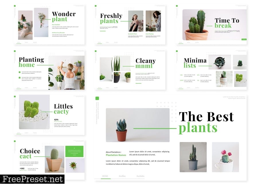 Bersyan Plants | Presentation Template 7SZXACV