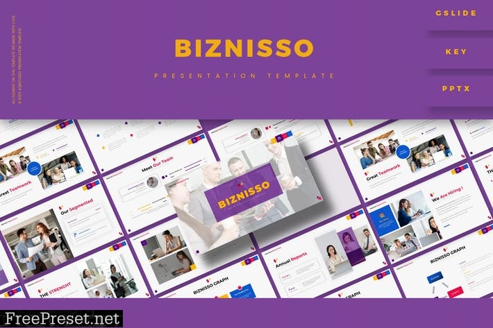 Biznisso Presentation Template LSE5BLN