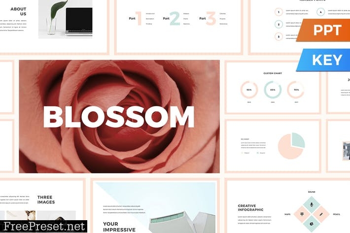 Blossom Presentation Template Z3ECP9