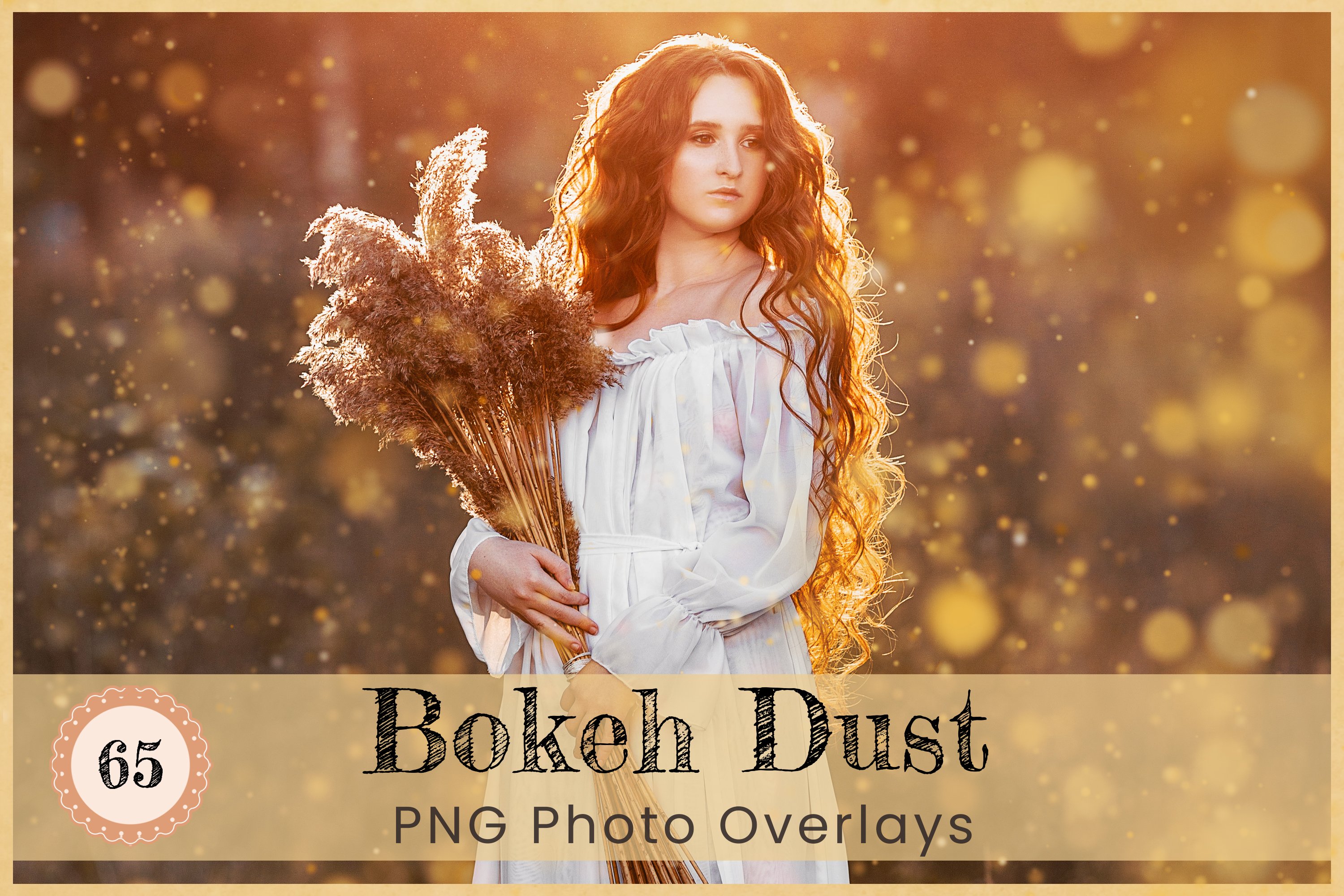 Bokeh Dust Photoshop Overlays PNG 7081433