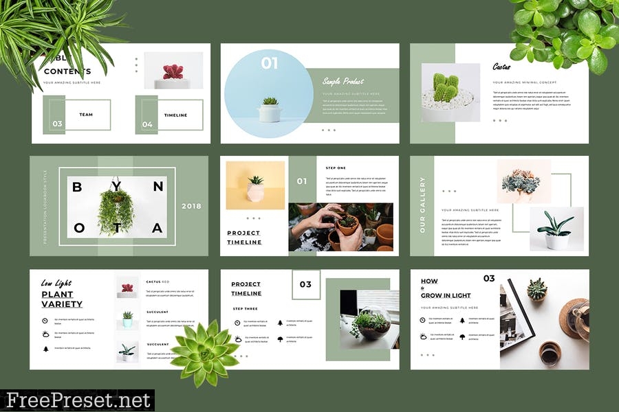 Botany Powerpoint Presentation CR6G4Q