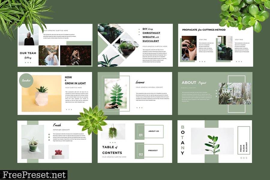 Botany Powerpoint Presentation CR6G4Q