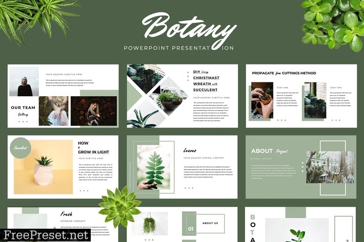 Botany Powerpoint Presentation CR6G4Q