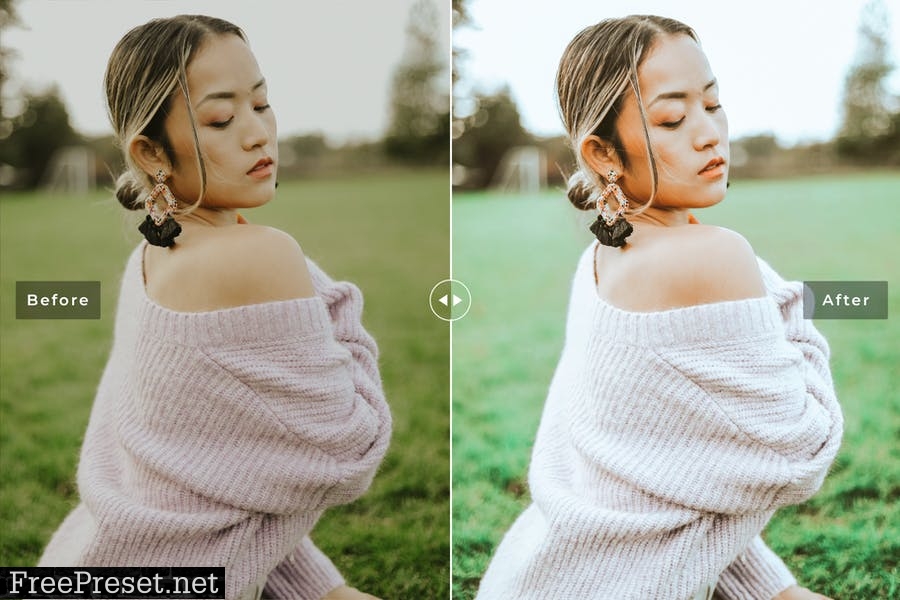 Bryonia Mobile & Desktop Lightroom Presets