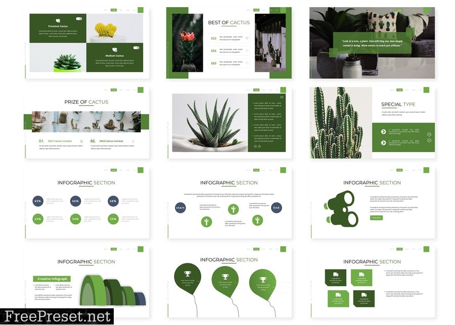 Cactus - Presentation Template 9Y4D22U