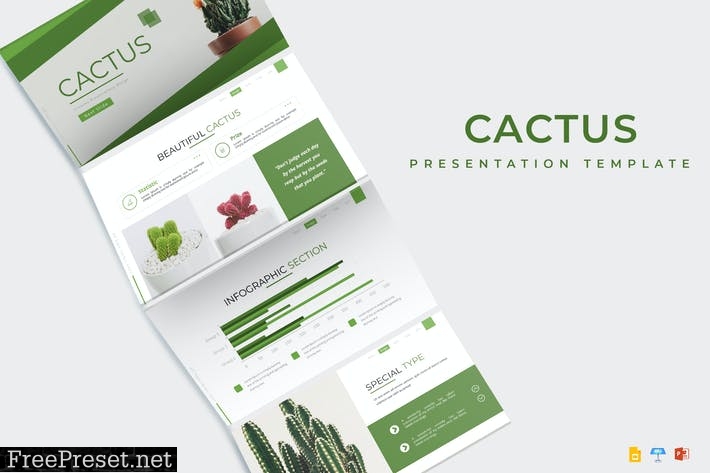 Cactus - Presentation Template 9Y4D22U