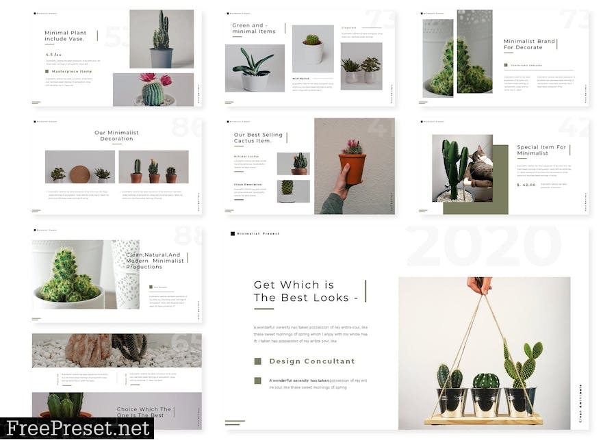 Cactusion | Powerpoint, Keynote, Google Slides V6353DW