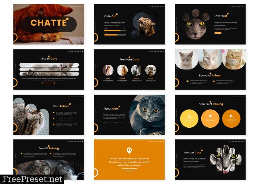 Chatte - Presentation Template YP6TLV2