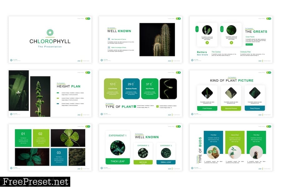 Chlorophyll Presentation Template 3SR99N3