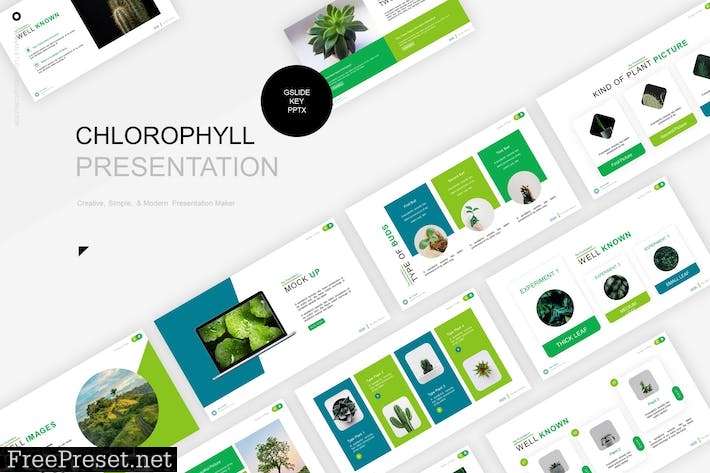 Chlorophyll Presentation Template 3SR99N3