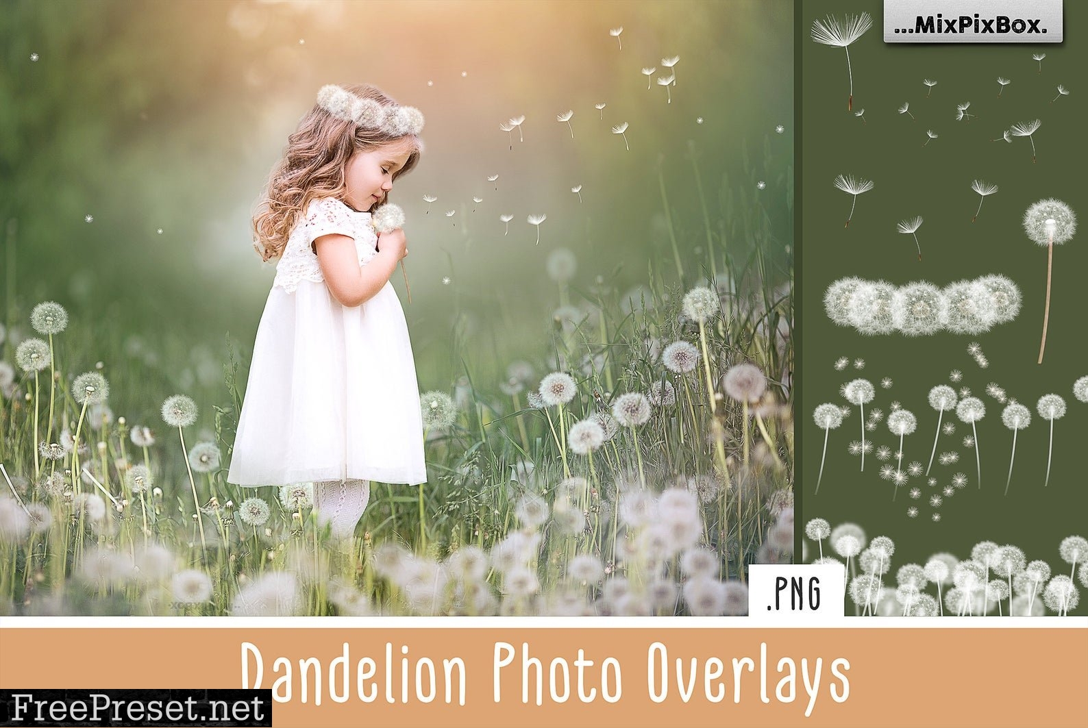 Dandelion Overlays 5219806