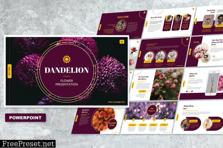 Dandelion - Powerpoint 4292RJD