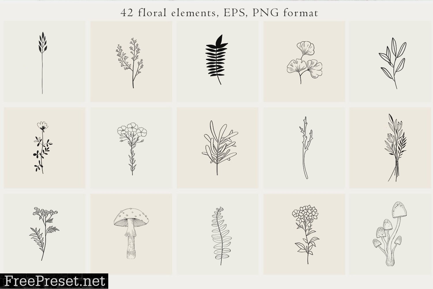 Floral Botanical Illustrations 4479176