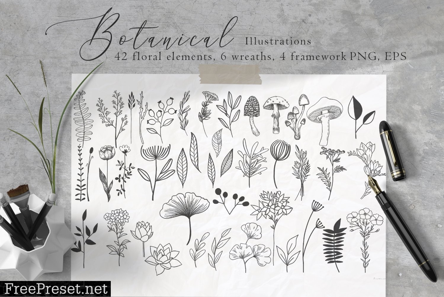 Floral Botanical Illustrations 4479176