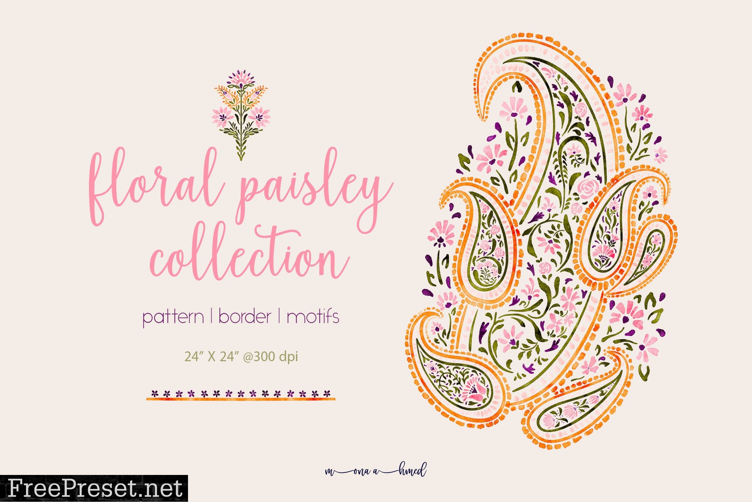 Floral paisley collection 6828392