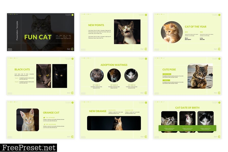 Fun Cat Presentation Template YNCCNEP