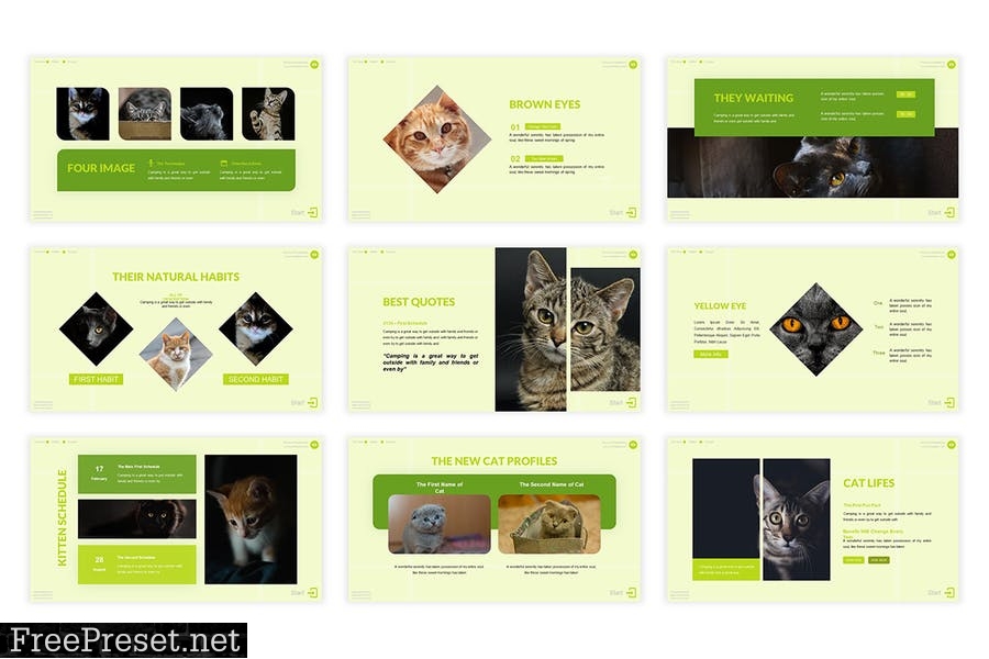 Fun Cat Presentation Template YNCCNEP