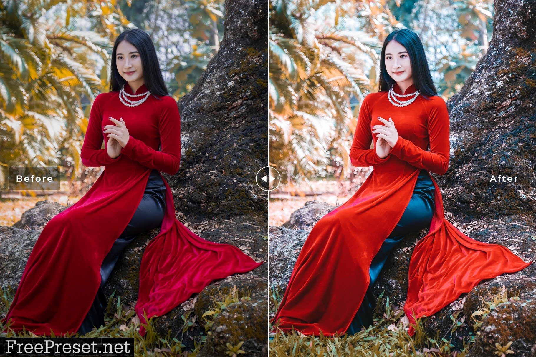 Goji Berry Pro Lightroom Presets 7389007