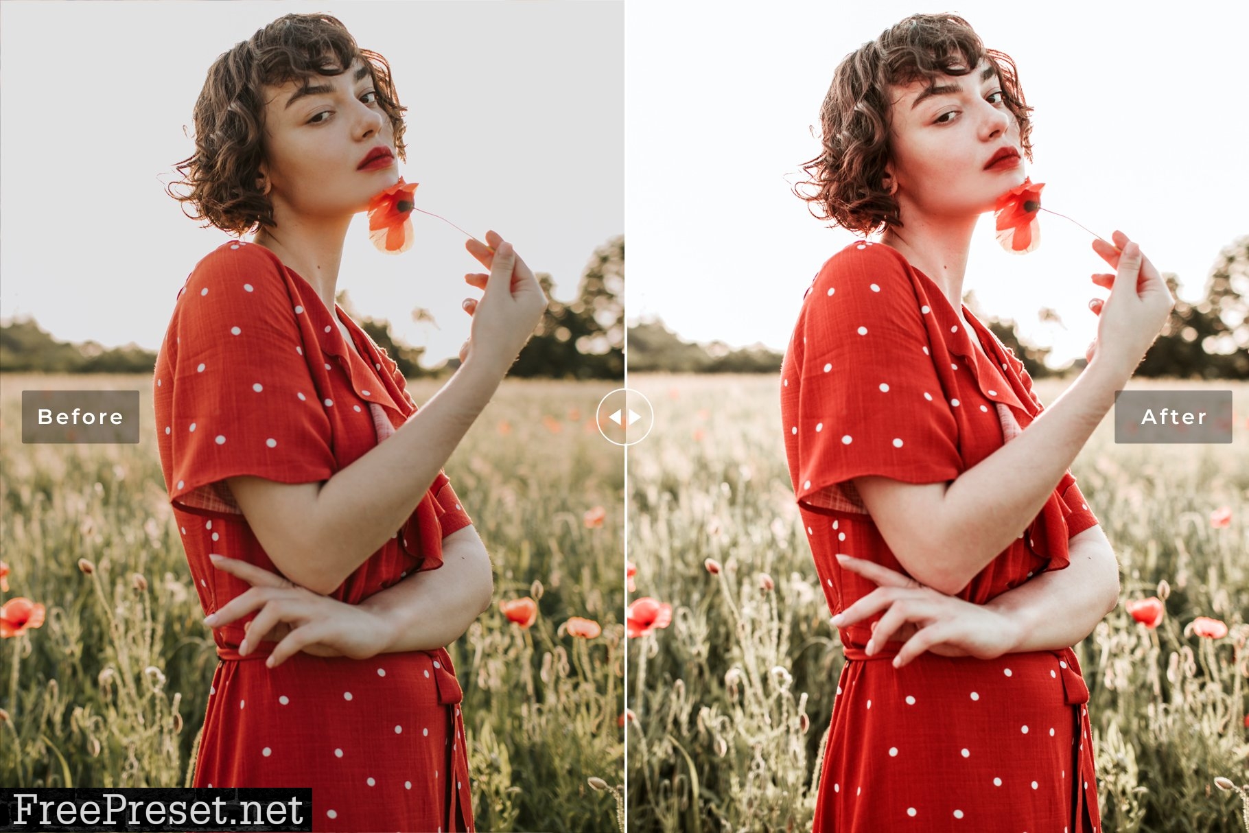 Goji Berry Pro Lightroom Presets 7389007