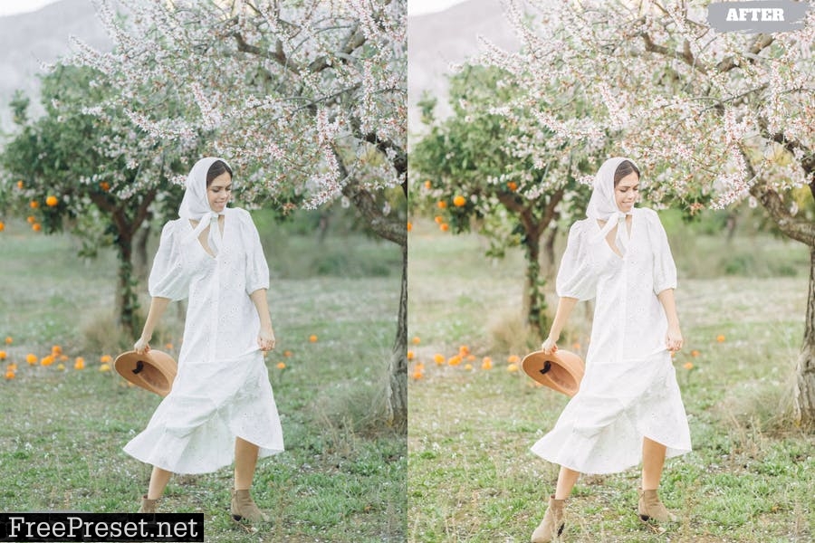 Great Spring Lightroom Presets Dekstop and Mobile