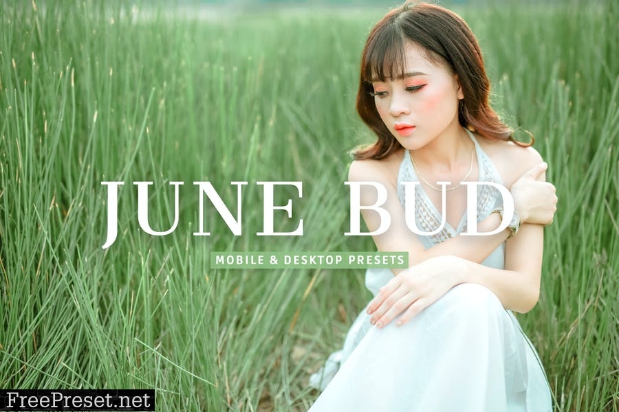 June Bud Mobile & Desktop Lightroom Presets