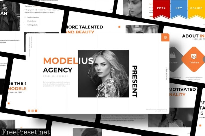 Modelius | Presentation Template QP3E3W4