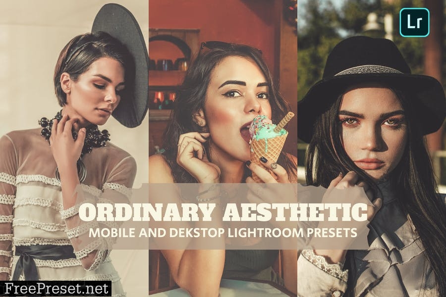 Ordinary Aestheti Lightroom Presets Dekstop Mobile