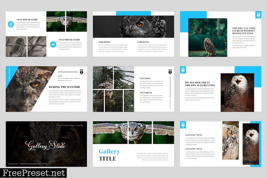 Owels - Bird Animal Powerpoint Template 3HE9448