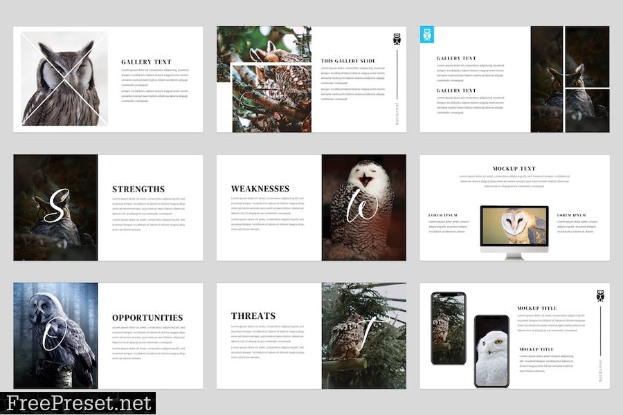 Owels - Bird Animal Powerpoint Template 3HE9448