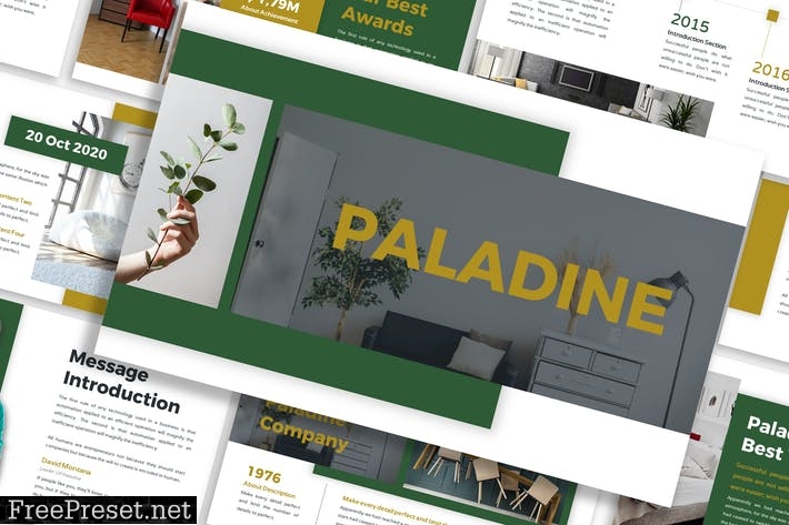 Paladine - Business Template Prensentation 98TSSKF