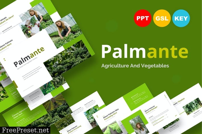 Palmate Agriculture And Vegetables - Presentation TGWQWZ4